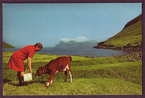 FA6030 Faroe Islands Elduvík