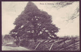 Picturesque postcard showing horse and cart near Hulla, Aland (Finland).