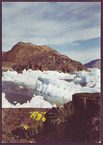 GR6006 Greenland, Springtime scene. (Greenland Post Philatelic Bureau)