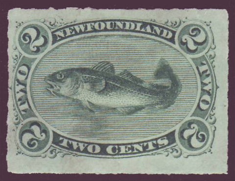 Nfld stamp showing cod fish, 2¢ in green from 1879.