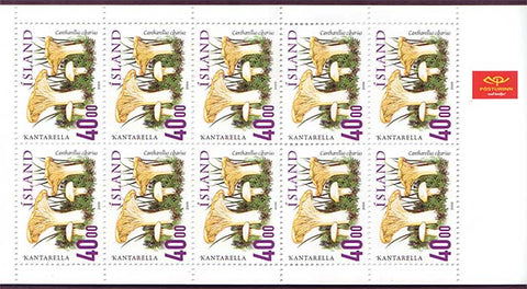 IC0898a1exp Iceland Scott # 898a MNH booklet / carnet