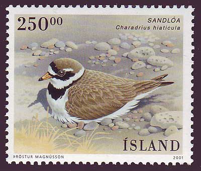 IC09531 Iceland 
      Scott # 953 MNH
        (Birds / Oiseaux)