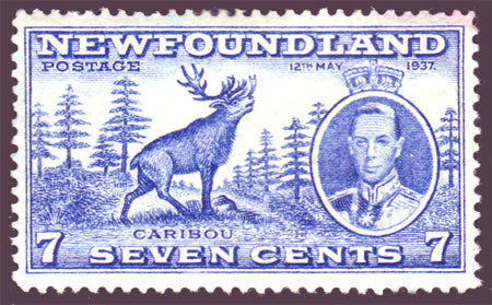 NF2351  Newfoundland # 235 VF MH