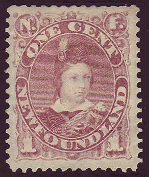 NF0421 Newfoundland 
      # 41 VF H
      disturbed gum
      
      violet brown
      
      Prince of Wales