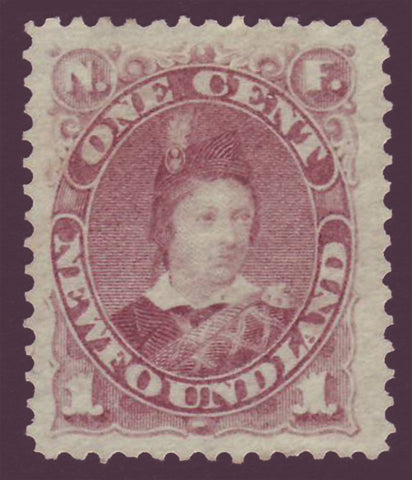 NF042NGPE Newfoundland 
      # 41 VF NG
      violet brown 
      (no gum)
      Prince of Wales