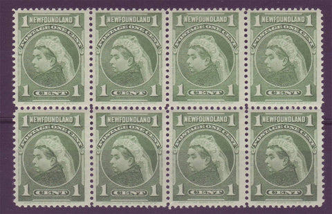 NF080x8 Newfoundland # 8, Block of 8 XF MNH**, Queen Victoria 1898