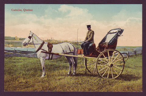 Québec style Caleche (Horse-drawn Carriage) and Driver ca. 1915