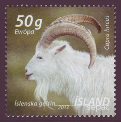 IC131411 Iceland