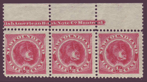NF056x31  Newfoundland # 56 (rose red) F MNH**      strip of 3 + inscription            Newfoundland dog      (orange red - 1896)