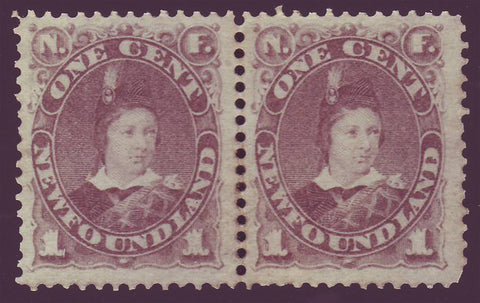 NF042x22.1GH Newfoundland       # 42 VF MH pair      grey brown       Prince of Wales 1880