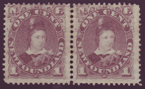 NF042x22GH Newfoundland       # 42 F MH pair      grey brown       Prince of Wales 1880