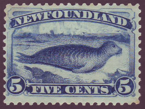 NF0532.1  Newfoundland # 55 F MH       (bright blue 1894)                                   ;
