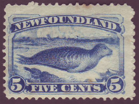 NF0552.1 Newfoundland # 55 F MH,       (bright blue 1894)