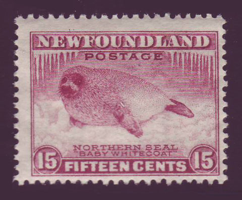 NF195 Newfoundland # 195 MNH**,  Harp Seal,  Perkins Bacon Printings 1932-37