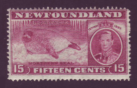 NF239 Newfoundland # 239 MNH**, 15¢ Long Coronation Issue - 1937