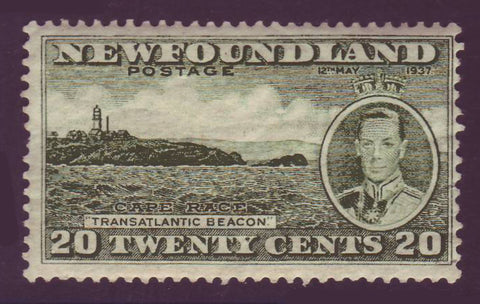NF240 Newfoundland # 240 MNH**, 20¢ Long Coronation Issue - 1937