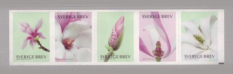 SW2755 Scott # 2755 booklet pane.  Magnolias 2015 -  Northwind Stamps